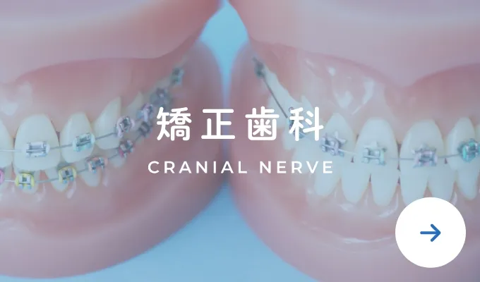 矯正歯科